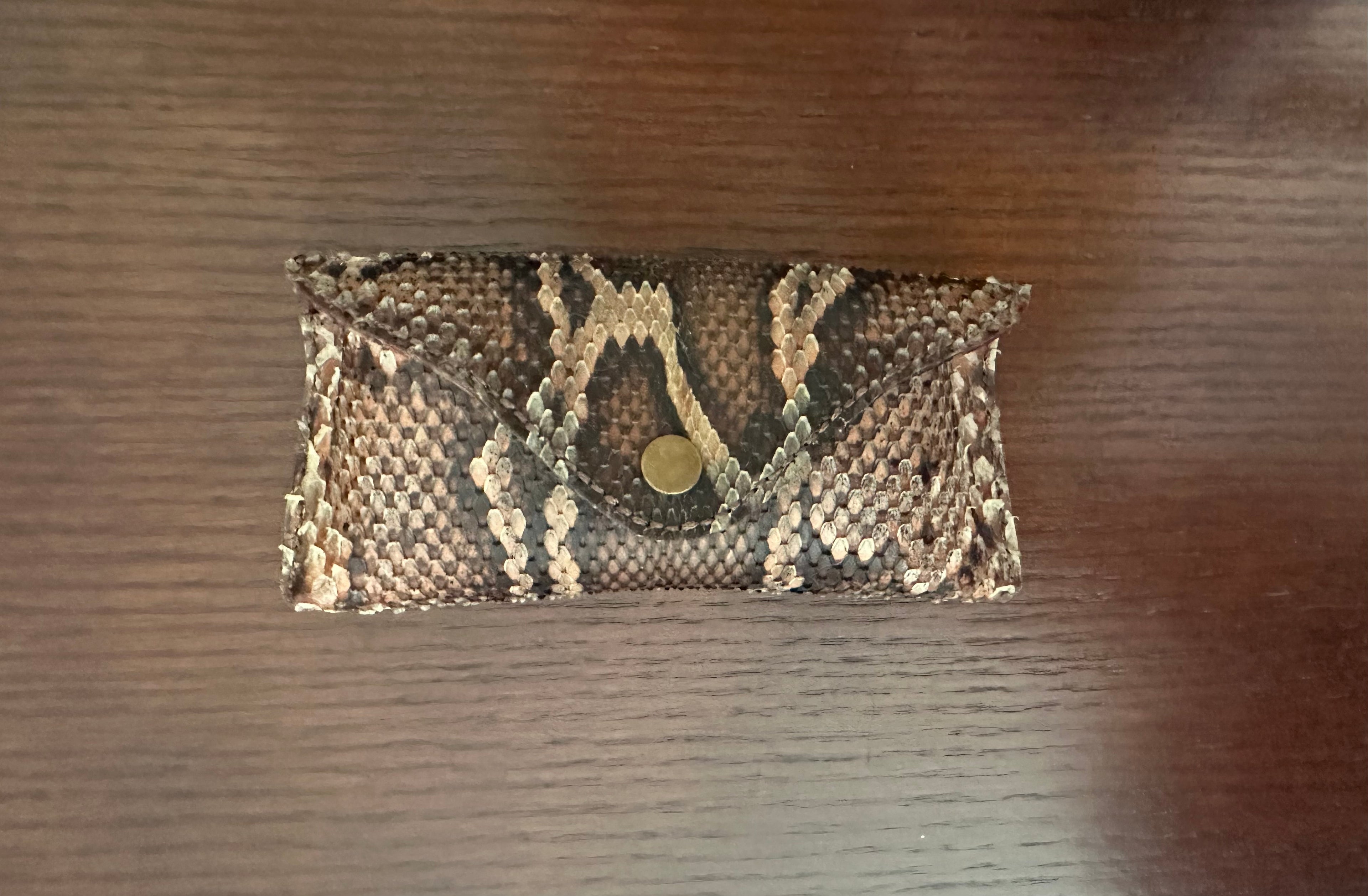Python Eyeglass Case