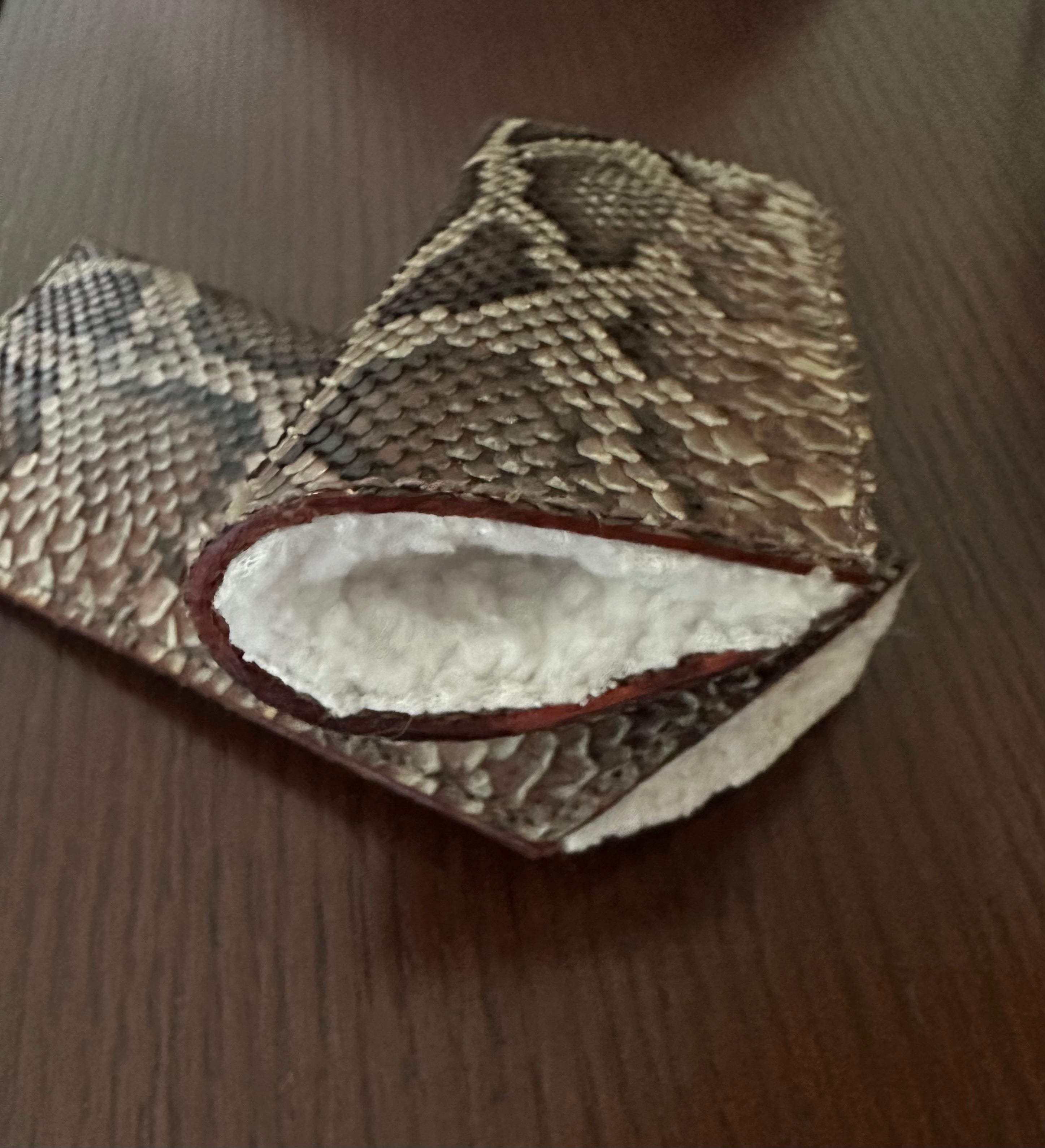 Natural Python Readers Eyeglass Case - Everglades Series