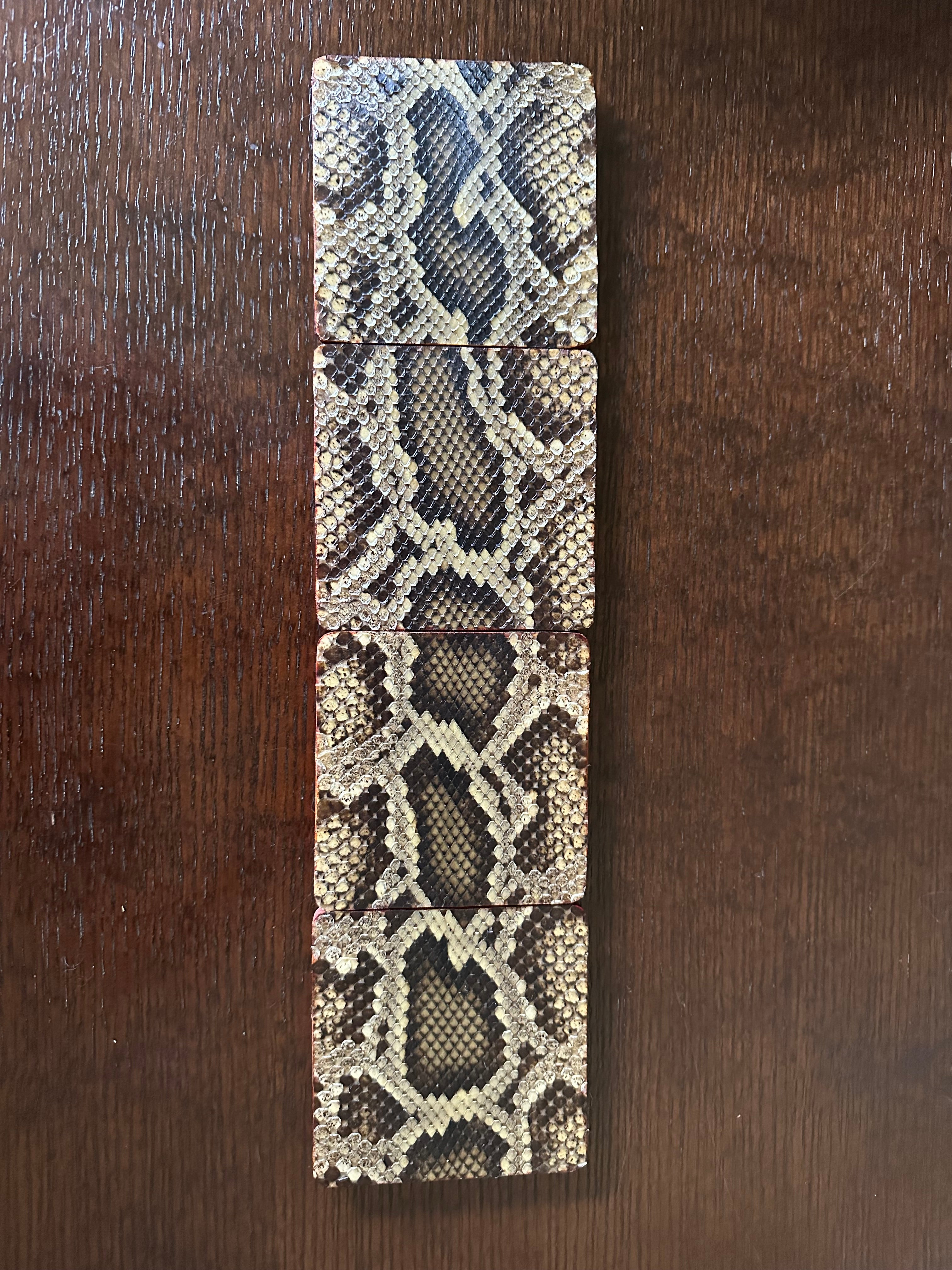 Python Coasters