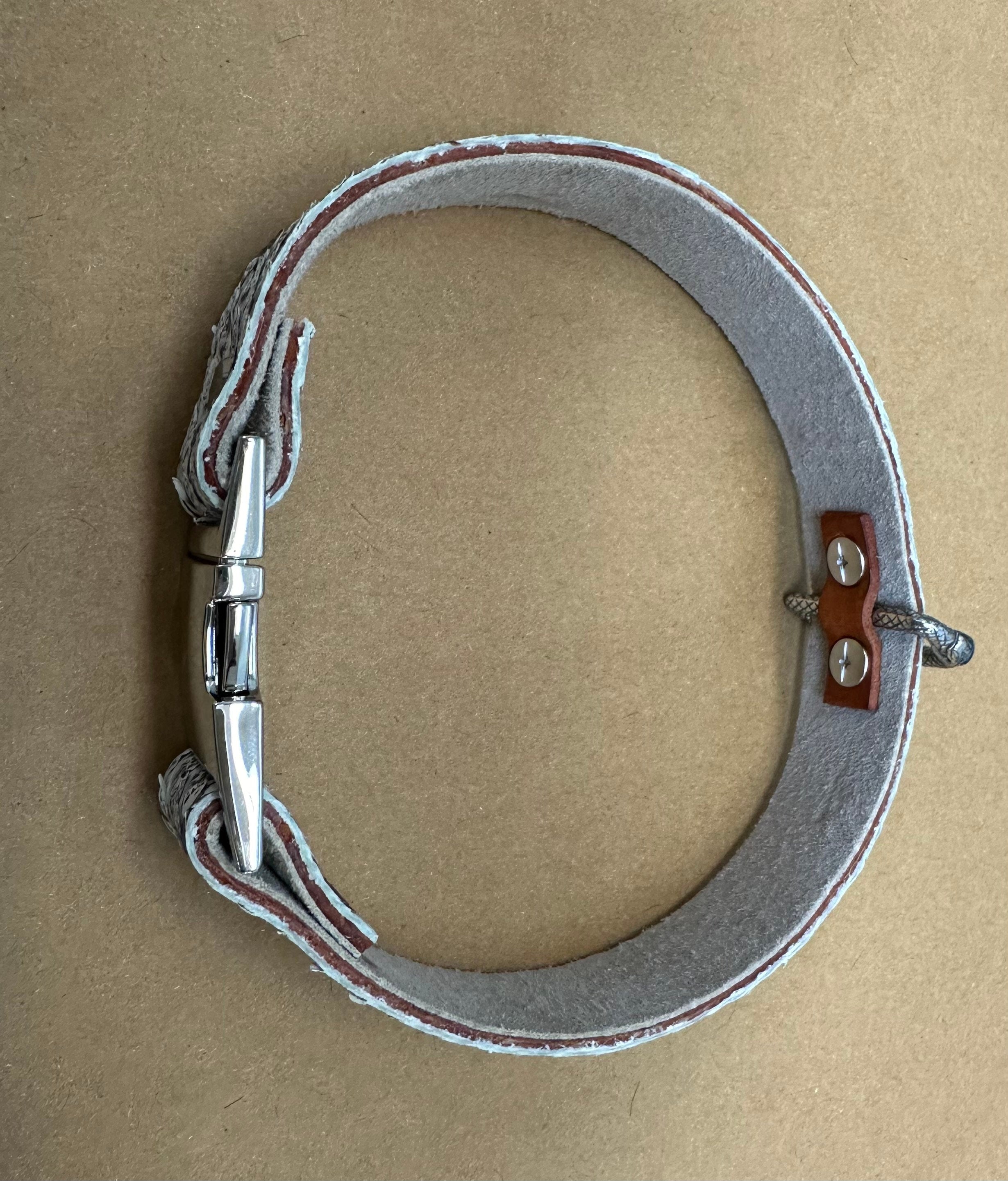 Tanned Python Dog Collar
