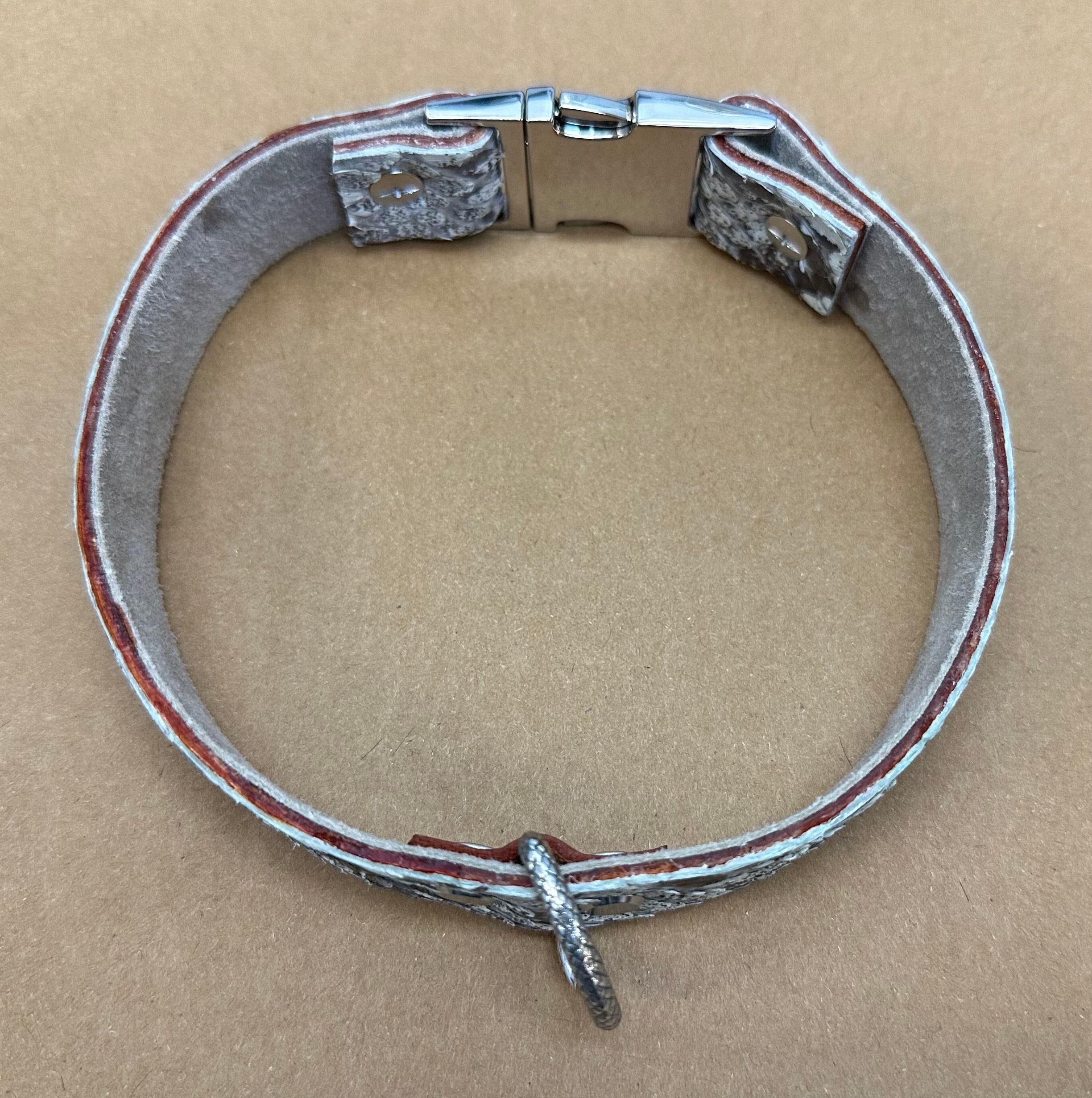 Tanned Python Dog Collar